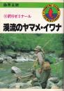 釣りゼミナール 渓流のヤマメ・イワナ