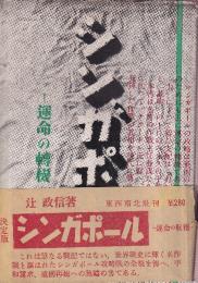 シンガポール 運命の転機