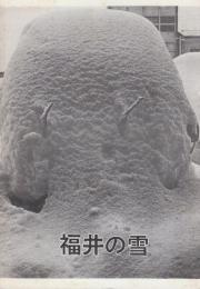 福井の雪