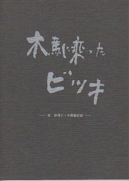 木馬に乗ったビッキ 故 砂澤ビッキ 葬儀記録 1989年 アイヌ 彫刻家 木馬に乗ったビッキ 故砂澤ビッキ葬儀記録(砂澤凉子) / 古本、中古本