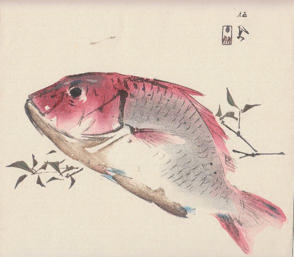 竹内栖鳳木版画 「鯛」(竹内栖鳳) / 古本、中古本、古書籍の通販は