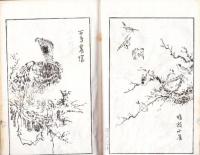 龍斎　花鳥図変　全