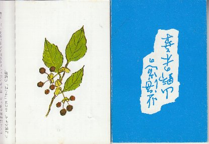 ☆坂本直行☆「木の実」水彩画 八ツサイズ 新品額！ Yahoo