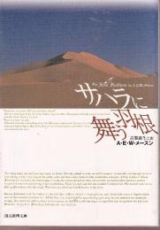 サハラに舞う羽根