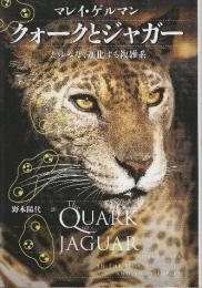 クォークとジャガー: たゆみなく進化する複雑系