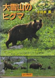 大雪山のヒグマ