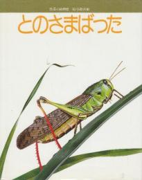とのさまばった　(フレーベルの科学えほん21)
