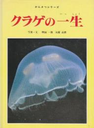 クラゲの一生　(フレーベル館のかんさつシリーズ8)