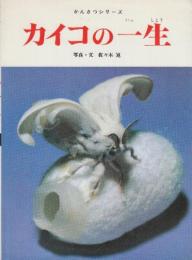 カイコの一生　(フレーベル館のかんさつシリーズ10)