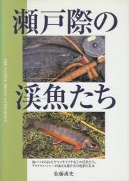 瀬戸際の渓魚(さかな)たち