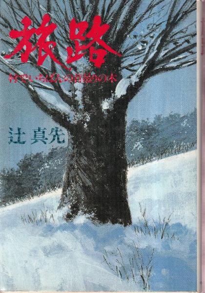 エロコト (ソトコト11月号増刊)編集長：坂本龍一 天海麗 リリー
