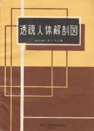 透視人体解剖図
