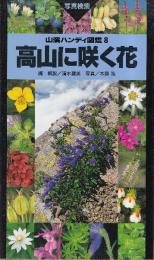 高山に咲く花 (山渓ハンディ図鑑8)