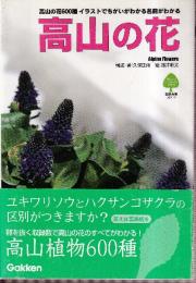 高山の花　高山の花600種イラストでちがいがわかる名前がわかる 自然発見ガイド