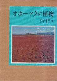 オホーツクの植物