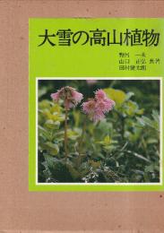 大雪の高山植物