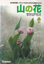 山の花　山の花800種イラストでちがいがわかる名前がわかる　自然発見ガイド