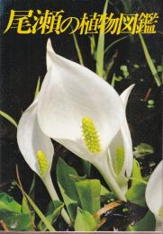尾瀬の植物図鑑