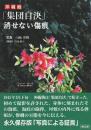 沖縄戦「集団自決」消せない傷痕