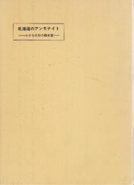 北海道のアンモナイト　小さな化石の標本室　改訂版