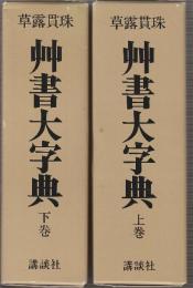 艸書大字典 上下２巻セット