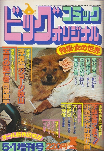 ビックコミック オリジナル1977年5月1日 増刊号 オール読切 特集 女の世界 日焼け有ります 北天堂書店 古本 中古本 古書籍の通販は 日本の古本屋 日本の古本屋