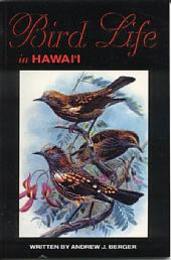 Bird Ｌｉｆｅ in HAWAI'Ｉ/ハワイの鳥