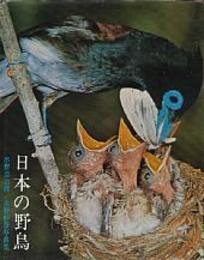 日本の野鳥