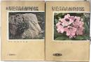 原色日本高山植物図鑑　正続2冊