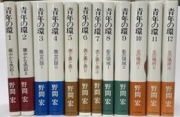 青年の環　全12冊