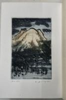 北の山と本　－その登山史的考察-