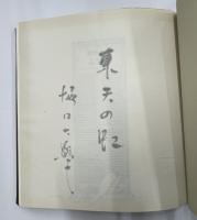 東天の虹　限定100
