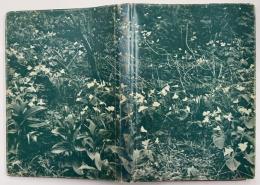 釧路の植物　釧路叢書　第5巻