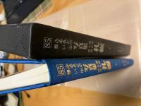 写真集明治大正昭和　札幌 : ふるさとの想い出85