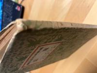 悪魔　露西亜短篇叢書