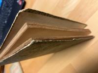 悪魔　露西亜短篇叢書