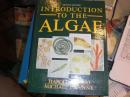 Introduction to the Algae Second Edition