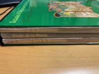 アール・ヌーヴォー装飾文様