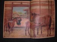 観察絵本　キンダーブック　昭和28 年5月20日　発行　うま　／吉澤廉三郎画