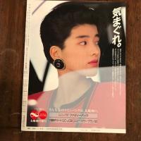 アサヒグラフ　藤ノ木古墳大特集　週間週間　合併増大号　’８８後半古代史発掘総まくりＰＡＲＴ１