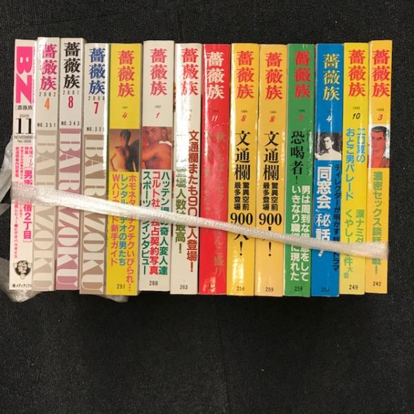 薔薇族 ばら売り 一冊2 000円 伊藤文学発行所 第二書房 1993年 平成5年3月 第23巻 通巻242号 1993年 平成5年10月 第23巻 通巻249号 1994年 平成6年4月 第24巻 通巻255号 1994年 平成6年7月 第24巻 通巻258号 1994年 平成6年8月 第24巻 通巻259号 1994年 平成6