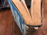 関口次郎　菅忠雄集　新進傑作小説全集13