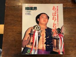 相撲界　あっぱれ　若武者　貴花田　史上最年少三賞受賞記念アルバム　
