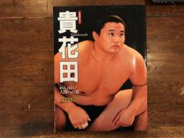 貴花田　がんばれ!大関への道 　大相撲グラフ　宮沢りえ