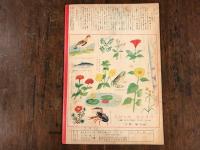 観察絵本　キンダーブック　昭和29 年8月01日　発行　なつの　むし／　／藤沢龍雄画