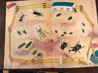 観察絵本　キンダーブック　昭和29 年8月01日　発行　なつの　むし／　／藤沢龍雄画