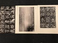 書の古典カード　袋入り　/カード20枚　（表）中国/　張遷碑・　鄭文公下碑・張猛龍清頌碑・高貞碑・夫子廟堂碑・九成宮醴泉銘・　雁塔聖教序・建中告身帖・蘭亭叙・集字聖教序・孔待中帖・温泉銘・枯樹賦・祭姪稿・越州録跋・王羲之書　十七帖・孫過庭書　書譜・前漢　木簡・北魏　中岳霊廟碑・趙之謙書・楊守敬書・

　（裏）日本　/光明皇后臨　楽毅論・　最澄書　清来目録・三十帖策子・大久保公神道碑・風信帖・灌頂記・李嶠詩　伝嵯峨天皇・伊都内親王願文・藤原行成　白詩巻・浣花帖・高野切第一種・高野切第二種・高野切第三種・御物朗詠・弁色紙・十五番歌合・三十六人集　伊勢集・宇治橋断碑・多胡群碑・百隠書・良寛書・富岡鉄斎書・比田井天来書・　