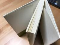 アランの言葉 : ビジネスマンのための成功哲学