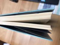 人間援助の心理学 : 新しい生きがいの探求