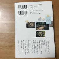 今日もていねいに。 : 暮らしのなかの工夫と発見ノート